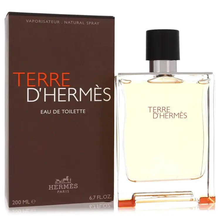 Terre D'Hermes by Hermes Eau De Toilette Spray for Men